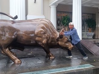 Bull vs Mr Bull