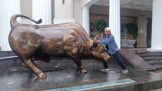 Bull vs Mr Bull